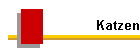 Katzen